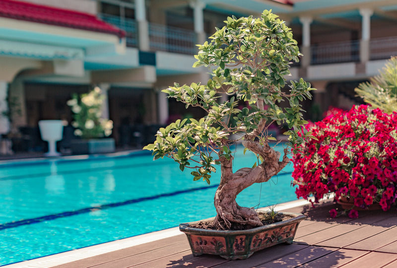 Vox Maris Grand Resort (Adults Only) คอสติเนช ภายนอก รูปภาพ